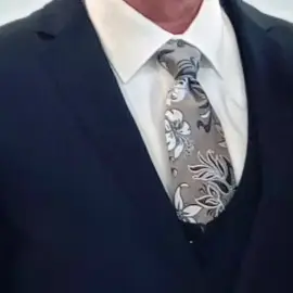 Mr Velvet